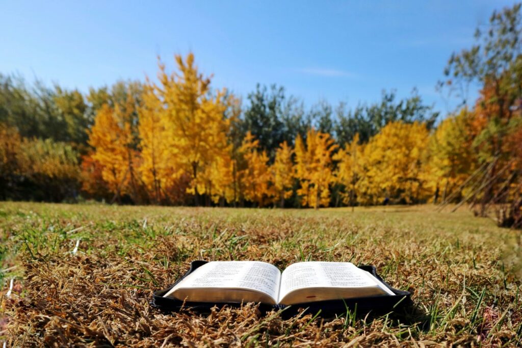 Mastering the First Impression: Your intriguing post title goes here An open Bible on grass in a sunny autumn meadow surrounded by vibrant fall foliage.